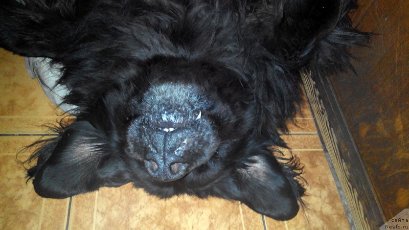 Фотография № 162342