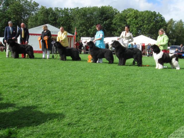 Фотография № 16235