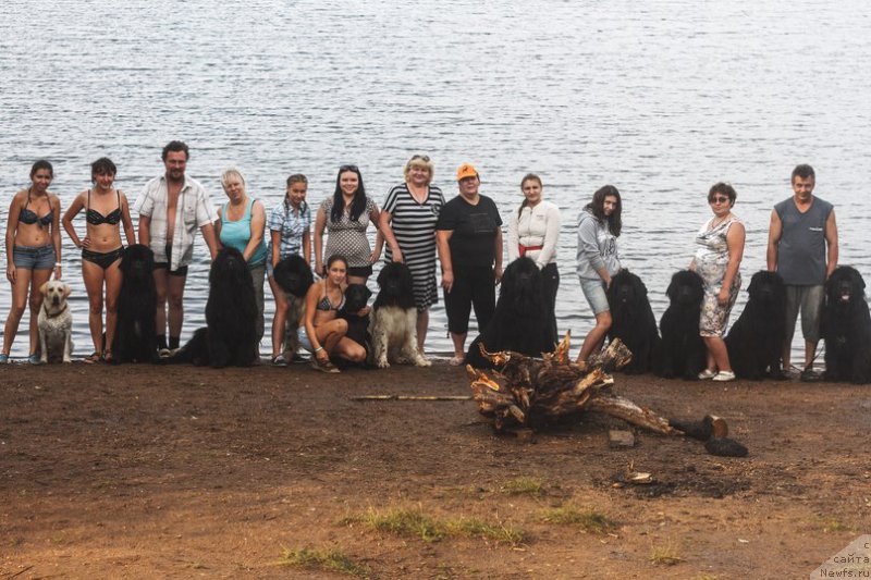 Фото: Ольга Иванова, ньюфаундленд Кипер Соул Лайон Хэерт, Елена Заборова (Брехина), ньюфаундленд Акватория Келвин Оушен Дрим, ньюфаундленд Кипер Соул Ноу Даут Бэст (Keeper Soul Nou Daut Best), ньюфаундленд Кипер Соул Нью Стар (Keeper Soul New Star), Ирина Габова, Эльвира Сумина, ньюфаундленд Милорд, Виктория Солдатенко, ньюфаундленд Юпитер Царь Богов от Сибирского Медведя (Yupiter Tsar Bogov ot Sibirskogo Medvedja), ньюфаундленд Акватория Келвин Фиона (Aquatoriya Kelvin Fiona), Рита Солдатенко, ньюфаундленд Акватория Келвин Урсула, Владимир Тимофеев, ньюфаундленд Юнг Форест Гамп