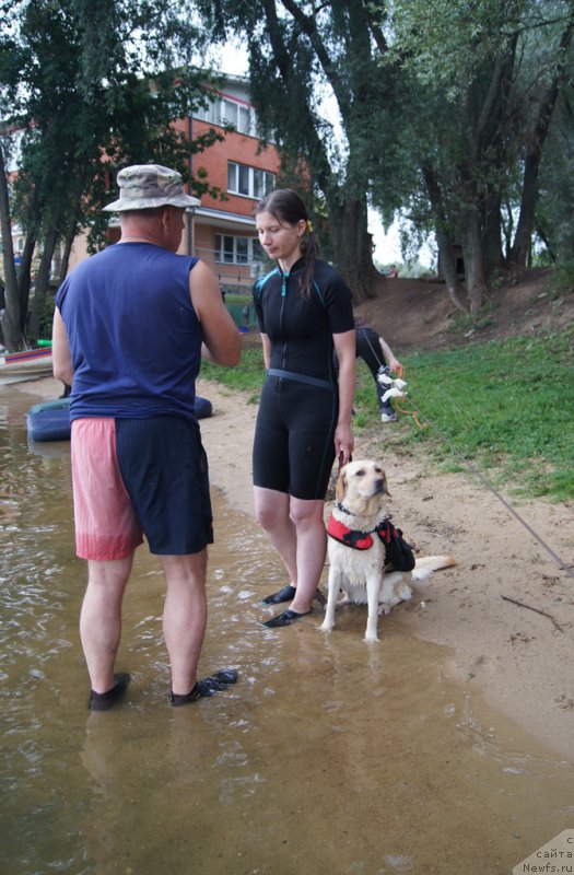 Фотография № 162381