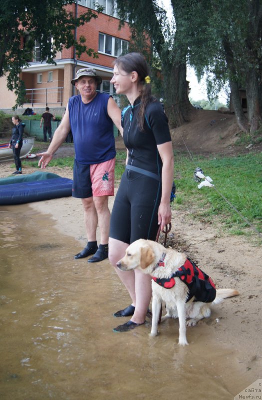 Фотография № 162382