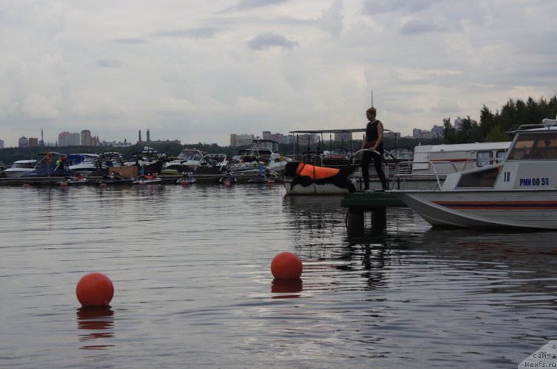 Фотография № 162385