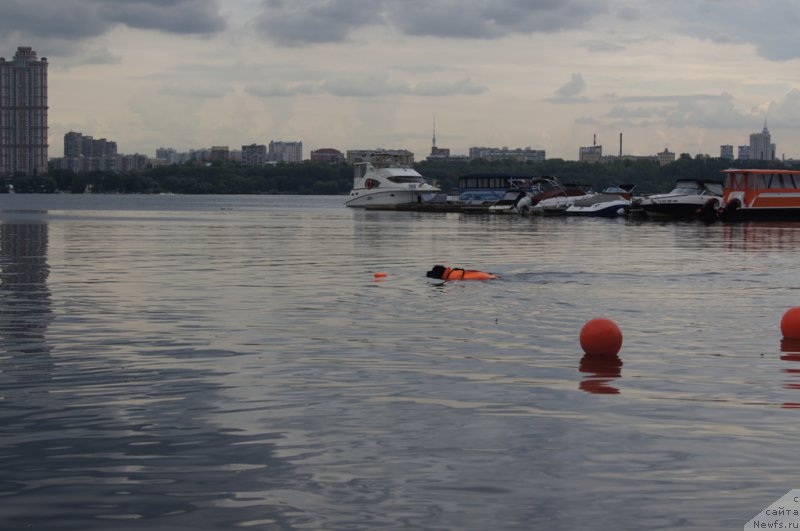 Фотография № 162386