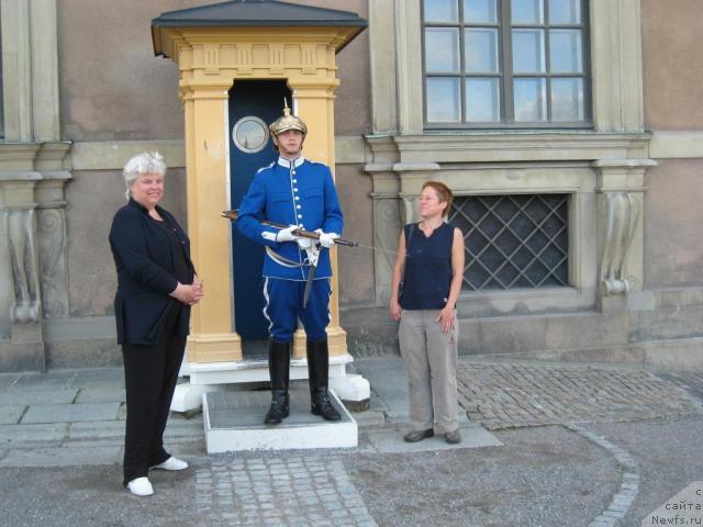 Фотография № 16239