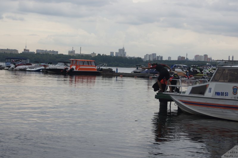 Фото: Александра Фетисова, ньюфаундленд Бегущая по Волнам Фогет Ми Нот