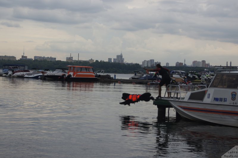 Фотография № 162392