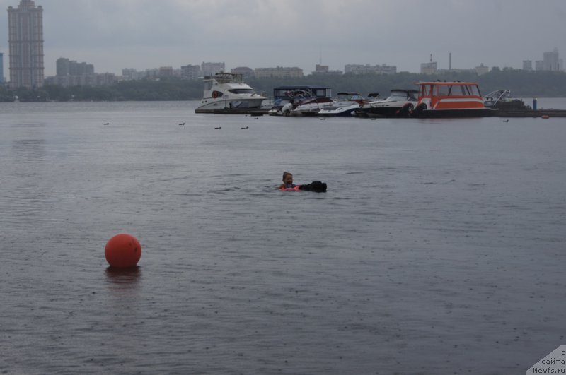 Фотография № 162398