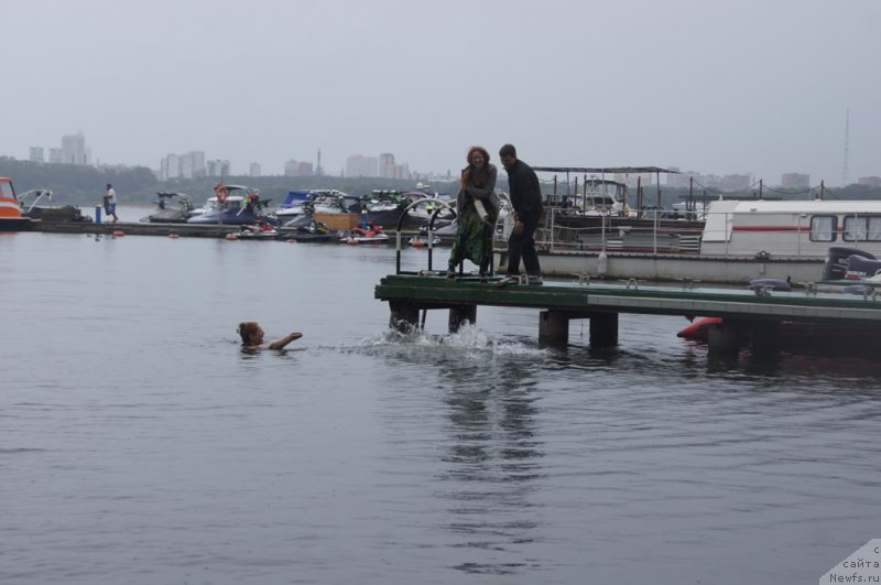 Фото: Ольга Музычук, Елена Тихоненко