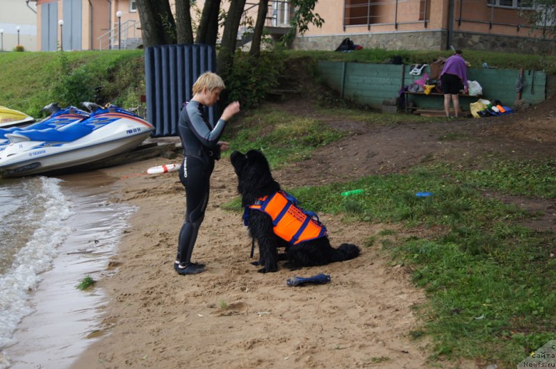 Фотография № 162403