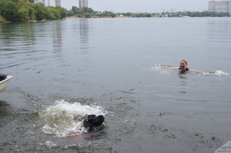 Фотография № 162410