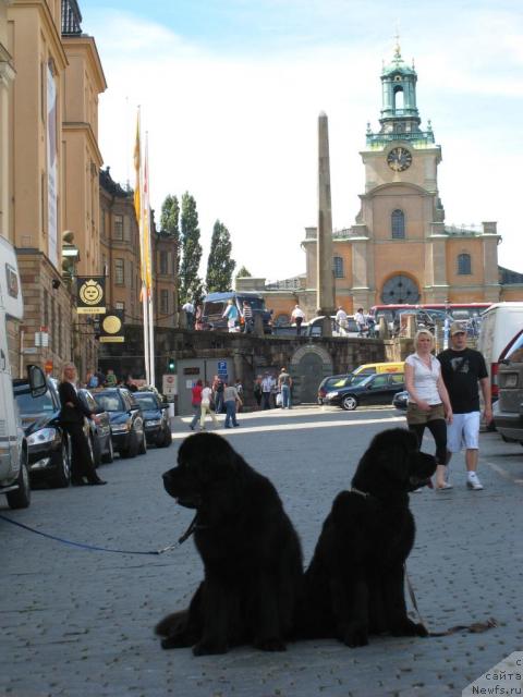 Фотография № 16242