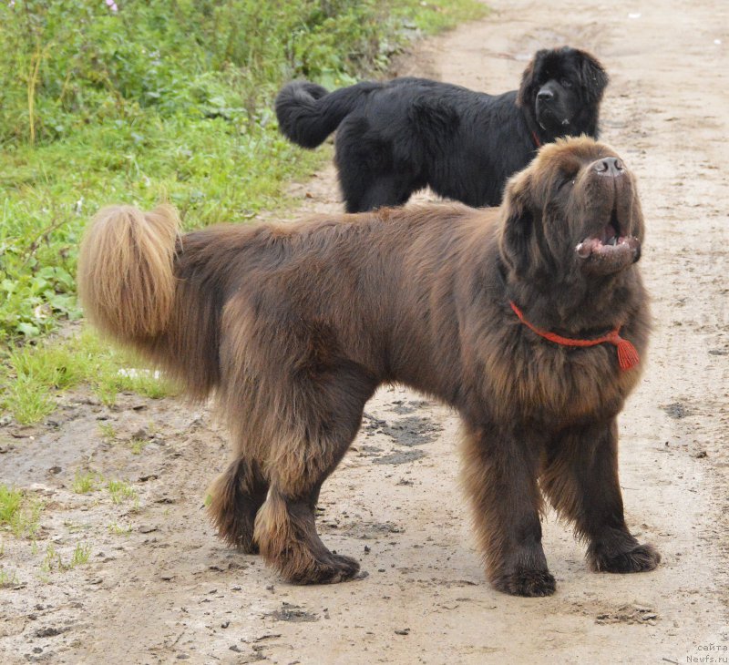 Фотография № 162420