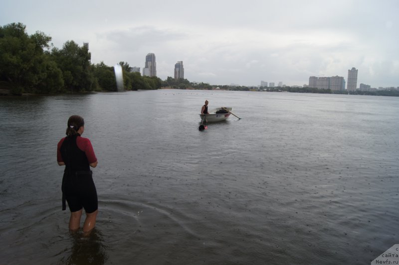 Фото: Александра Фетисова, ньюфаундленд Бегущая по Волнам Фогет Ми Нот, Ольга Музычук