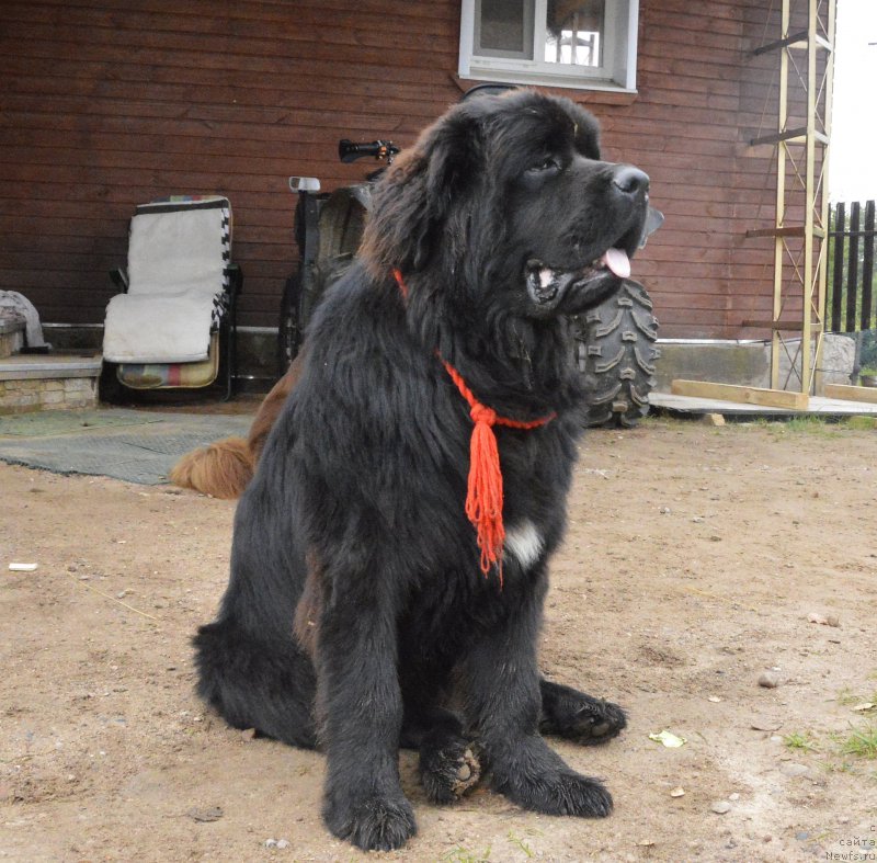 Фотография № 162426