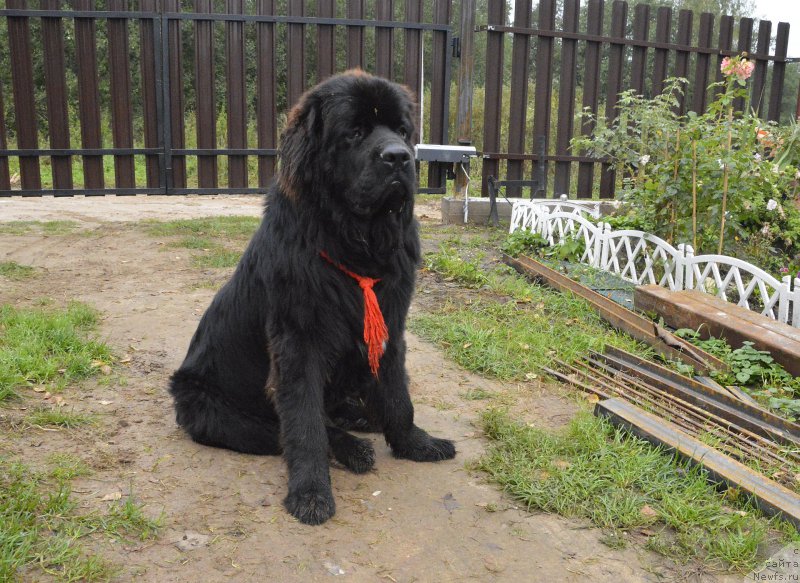 Фотография № 162427