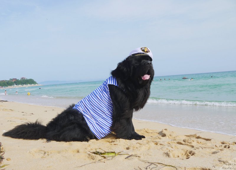 Фотография № 162432