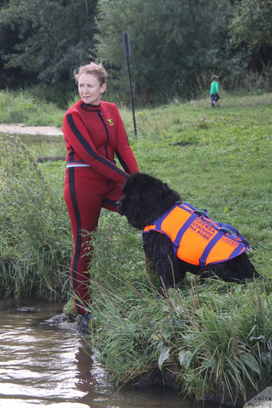 Фотография № 162439