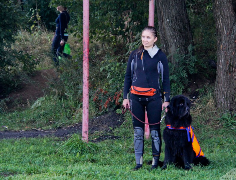 Фотография № 162441