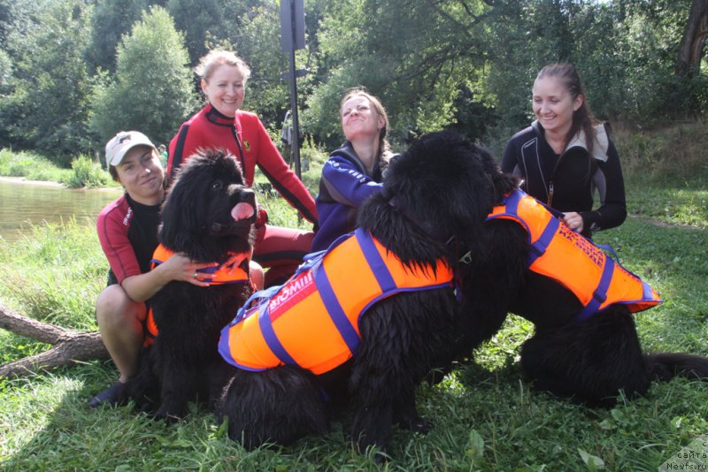 Фото: Александра Фетисова, ньюфаундленд Бегущая по Волнам Фогет Ми Нот, Ольга Музычук, ньюфаундленд Black Blues iz Volotova, журналистка lifenews, Ирина Складнова, ньюфаундленд Черный Чанк с Берега Дона (Chernyj Chank s Berega Dona)