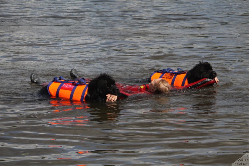 Фотография № 162449