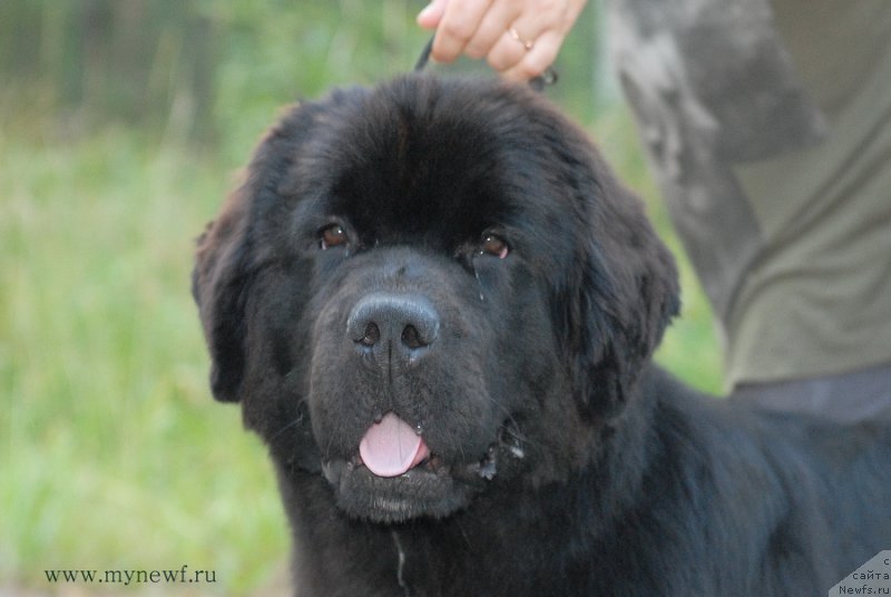 Фотография № 162456