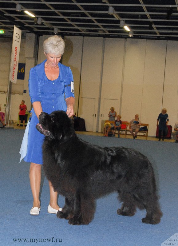 Фотография № 162463