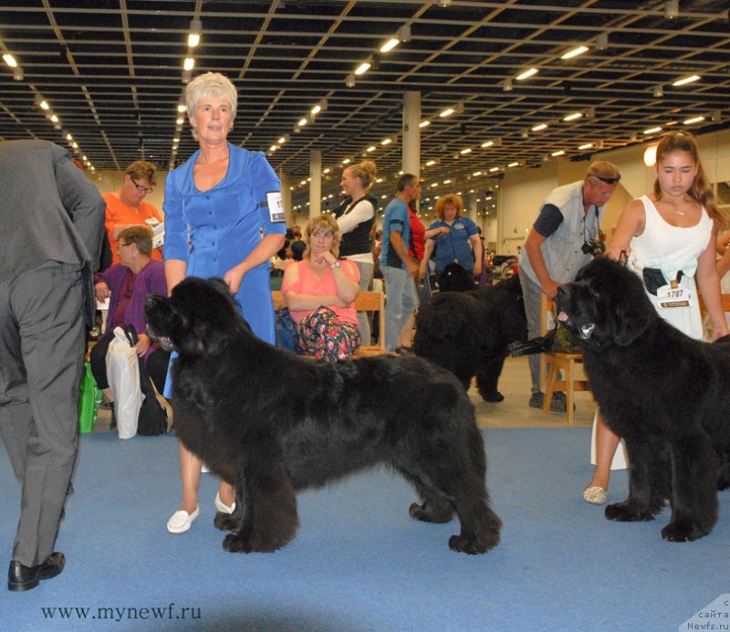 Фотография № 162464