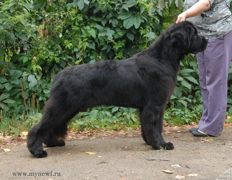 Фотография № 162466