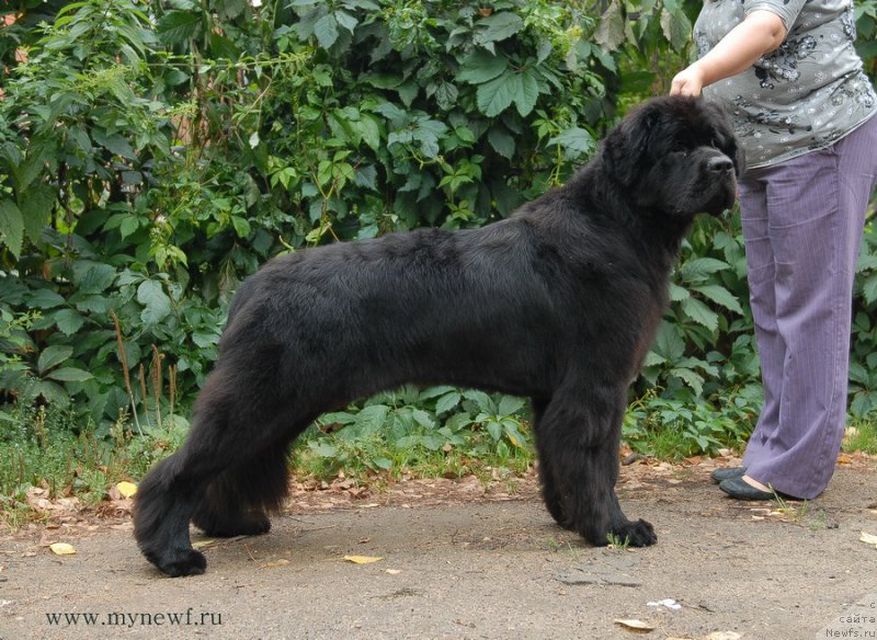 Фотография № 162467