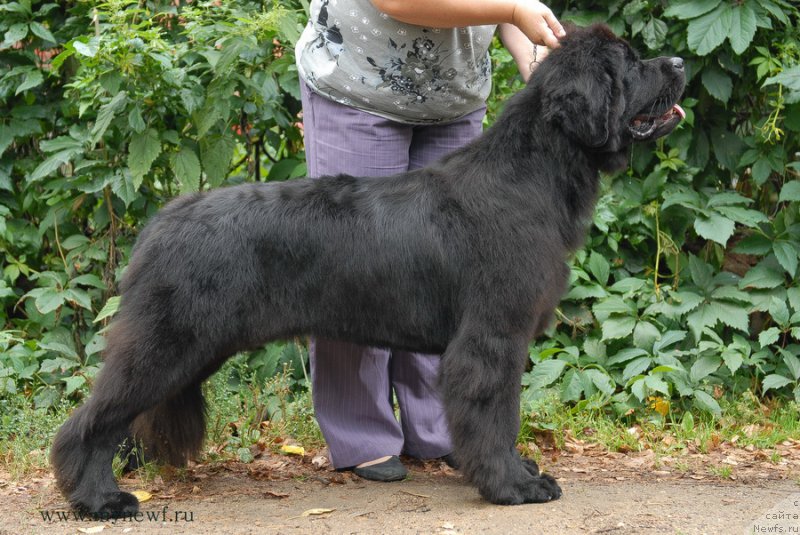 Фотография № 162469