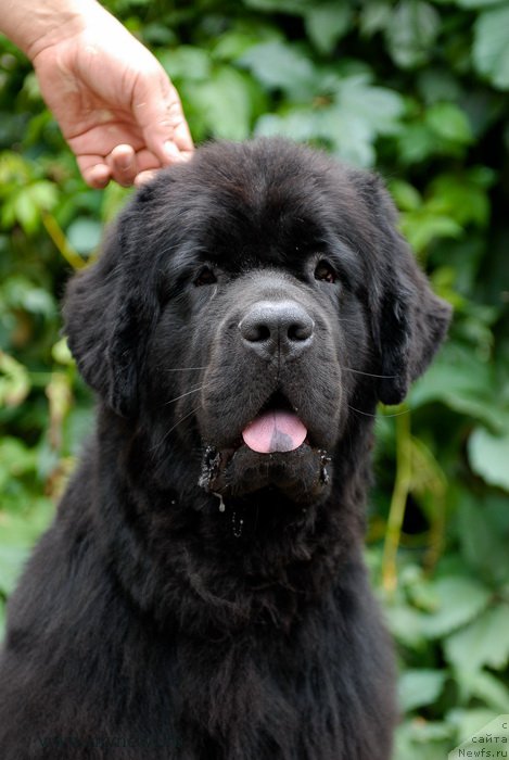 Фотография № 162472