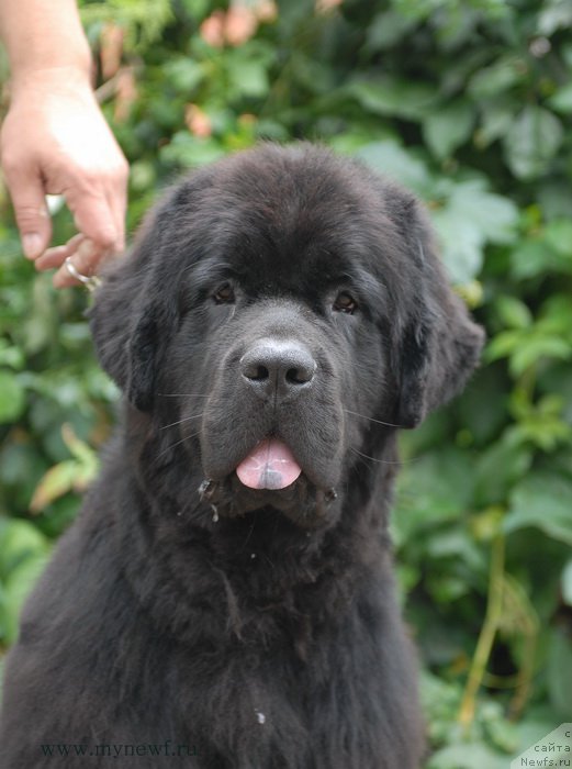 Фотография № 162473