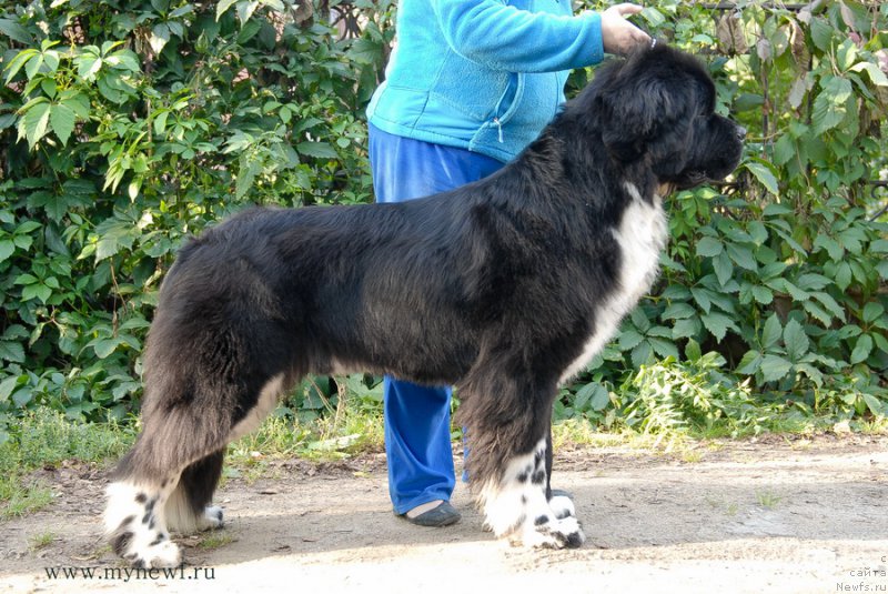 Фотография № 162475