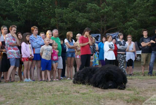 Фотография № 16251