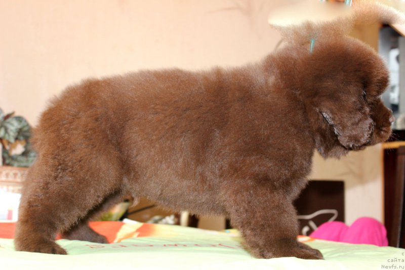 Фотография № 162571