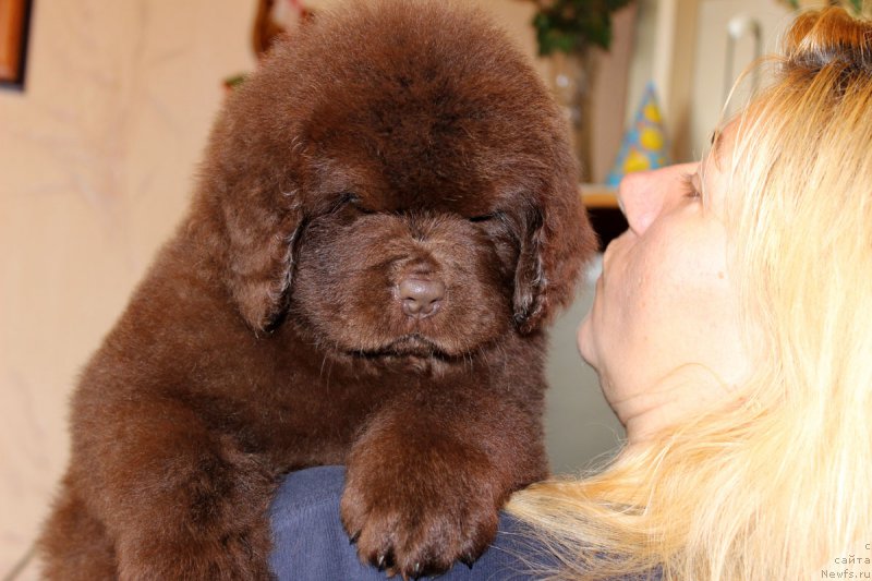 Фотография № 162572