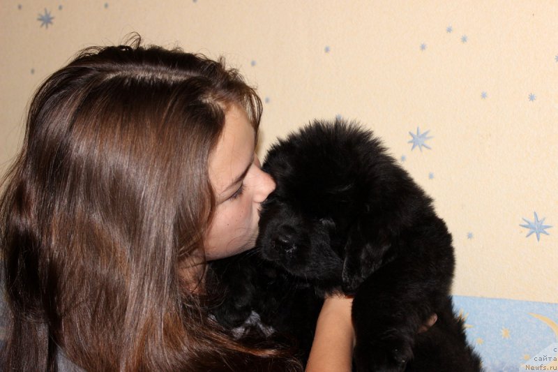 Фотография № 162581