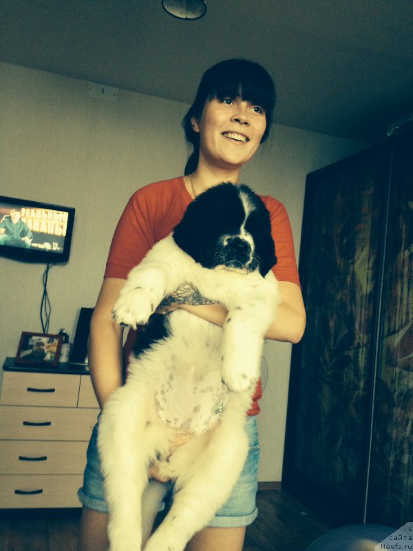 Фото: Ольга Гаврилюк