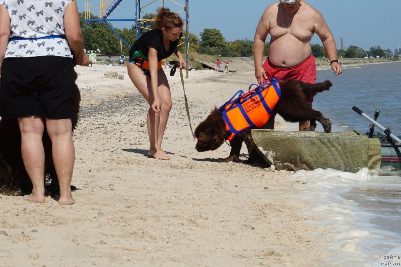 Фотография № 162611