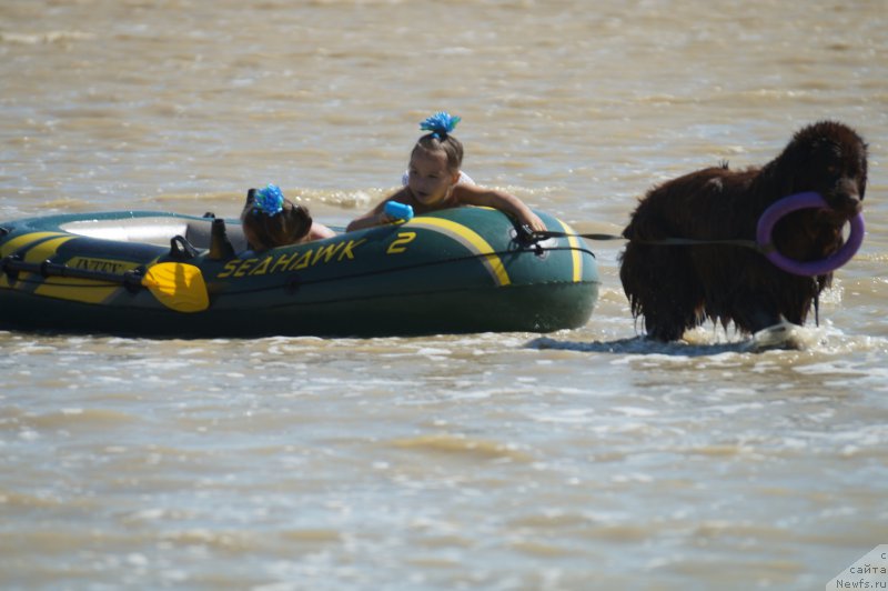 Фотография № 162612