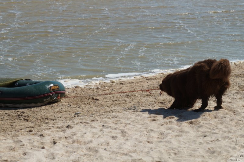 Фотография № 162613