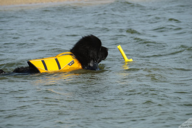 Фотография № 162614