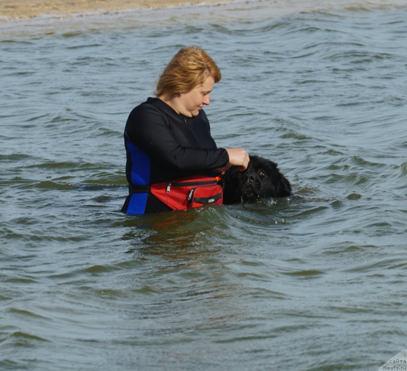 Фотография № 162615