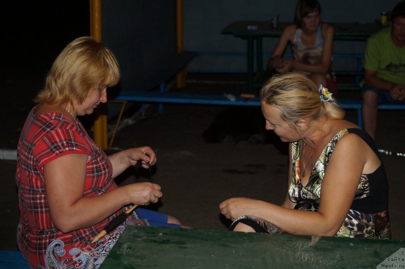 Фотография № 162616