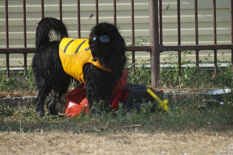 Фотография № 162617