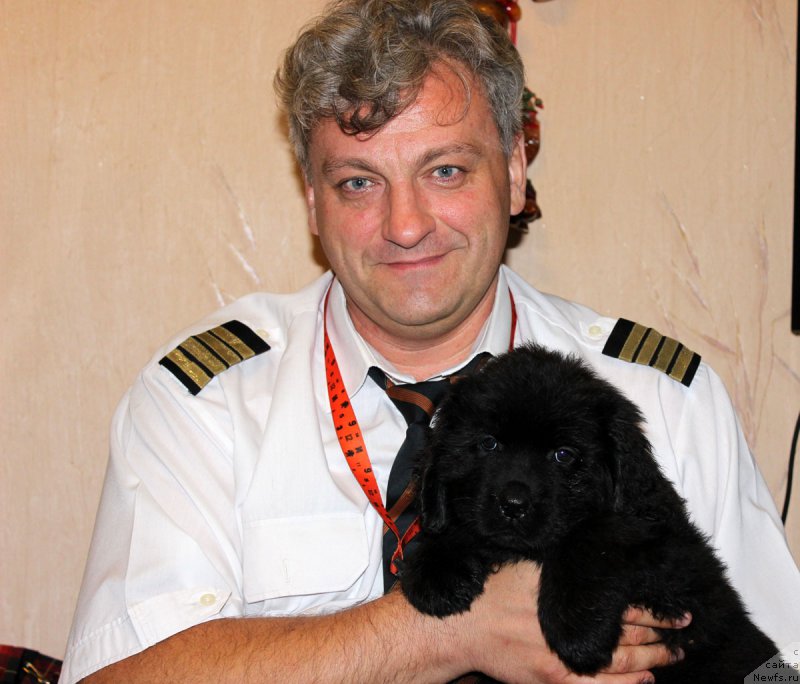 Фото: ньюфаундленд Браунблад МСК Харита Хавва (Brownblood MSK Harita Havva), Евгений Курпас