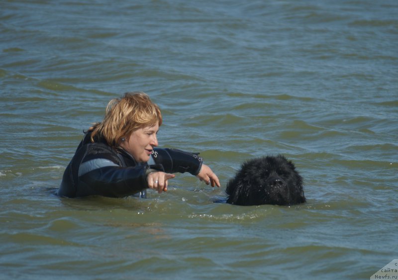 Фотография № 162645