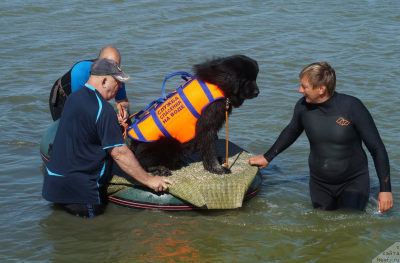 Фотография № 162647