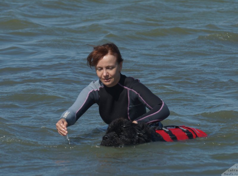 Фотография № 162648