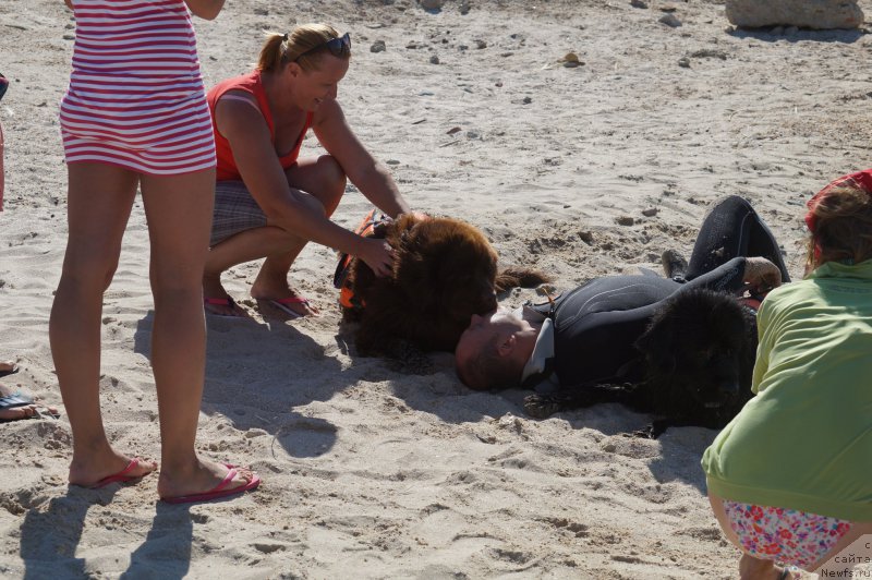 Фотография № 162655